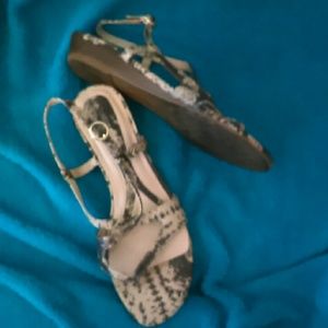 Amazing Snakeskin Sandals